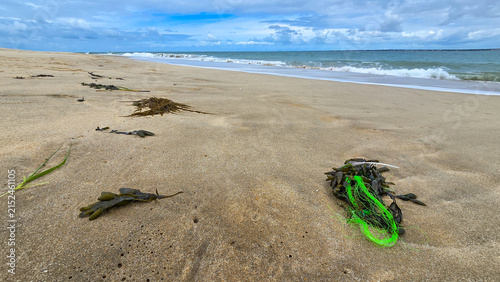 Bild auf Leinwand Soulac-sur-Mer, France, Green Fishing Line and Seaweed Washed Ashore on Sandy atlantic Beach