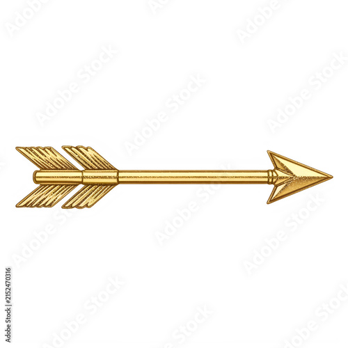 Golden arrow icon with feather details pointing right
