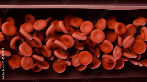 Zooming camera showing red blood cells flowing and tumbling inside narrow vessel, carrying oxygen