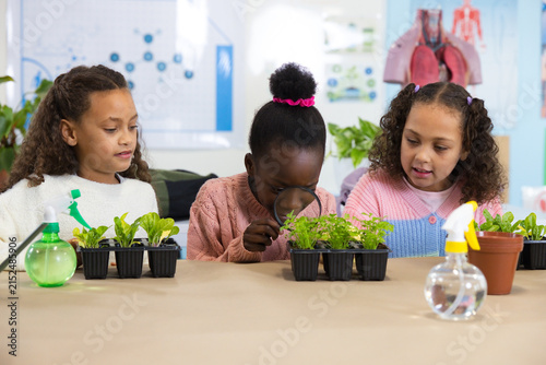 African American school-age girls examining seedlings in classroom using magnifying glass and trays