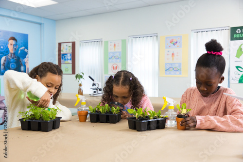 African American child, two youth girls tending seedlings with green bottle, black trays at school