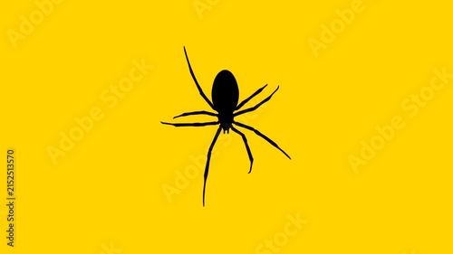 Animation with a spider walking on the yellow background (seamless loop)
