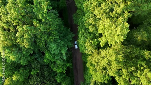 Aerial view of an SUV traveling along a dirt road through a lush green forest, capturing nature travel, adventure, exploration, road trips, and ecotourism.