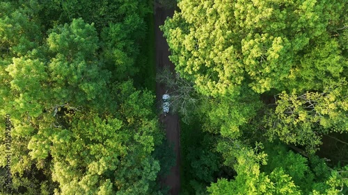 Drone view of an SUV driving through dense green woodland on a winding dirt road, showcasing outdoor adventure, exploration, nature travel, road trips, and ecotourism.