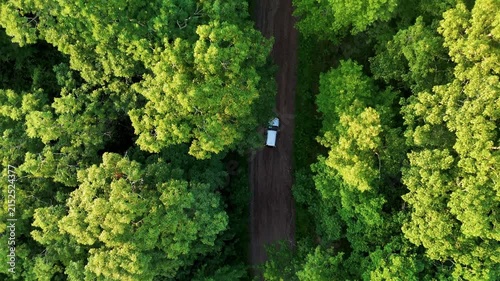 Drone follows a silver car traveling along a winding dirt road surrounded by lush green forest in the USA, capturing adventure, exploration, freedom, and outdoor travel.