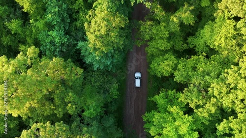 Aerial drone view following a silver car driving along a winding dirt road through dense green forest in the USA, representing travel, adventure, freedom, and nature.