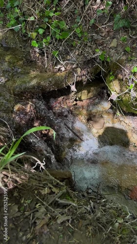 Vertical close up of a small forest waterfall with crystal clear water flowing over natural rocks into a shallow woodland pool on a sunny day. High quality 4k footage