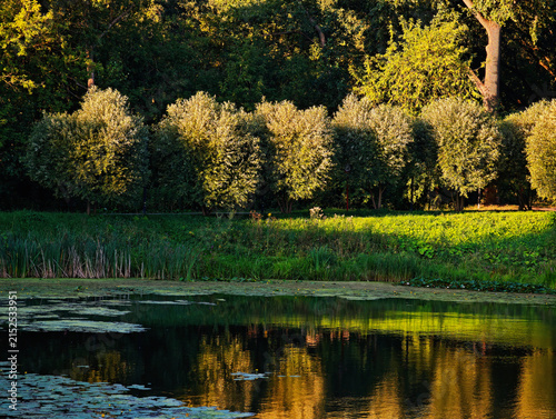 Dramatic park lake during sunset time landscape
