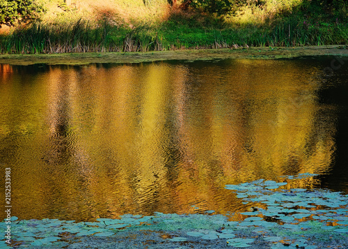 City pond water surface landscape background
