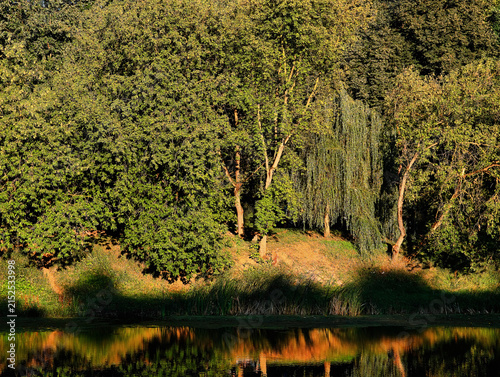 Reflections of summer park in the lake surface backdrop