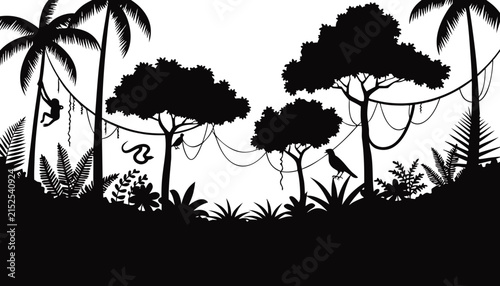 Jungle forest silhouette, rainforest background. Amazon forest scenery, jungle environment vector backdrop, wallpaper with palm trees, lianas, animals silhouettes