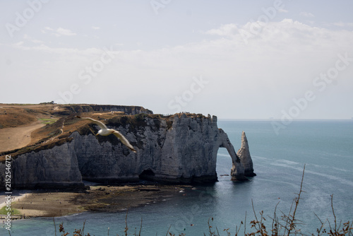 Fotografie cliffs of moher, Étretat, Normandy, France