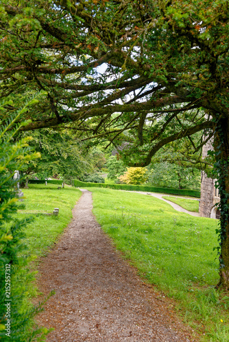Vibrant Mixed Flower Herbaceous Border Along Curved Grass Path