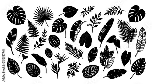 Tropical Leaves Vector Set in Black Monochrome Style for Botanical Designs and Nature Themes Featuring Foliage, Plants