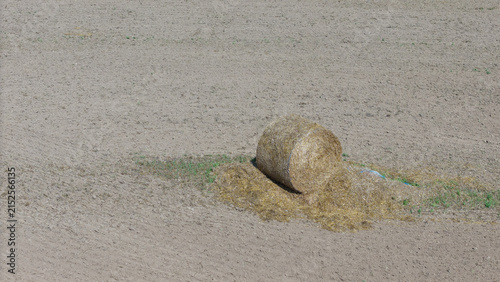 Aerial drone view of round hay bale on dry agricultural field – rural farming landscape photo