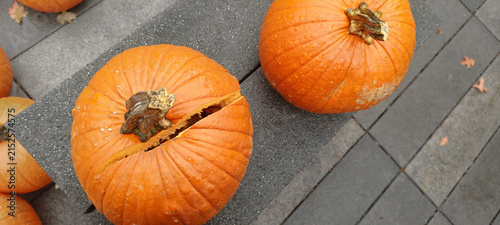 Pumpkins on display during autumn season at a local market in the afternoon sun