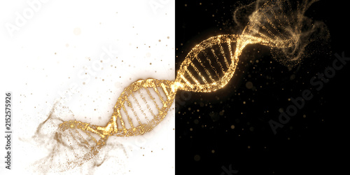 Abstract golden dna double helix structure made of glowing particles on a split white and black background isolated on transparent background