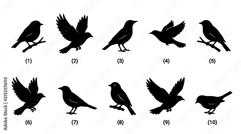 Fototapeta premium Collection of Ten Black Silhouette Birds in Flight Forming a Flowing Pattern Across a White Background
