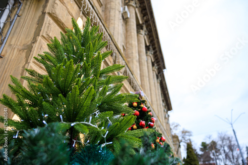 Konstfotografi Festive christmas decorations adorn historic building with evergreen trees