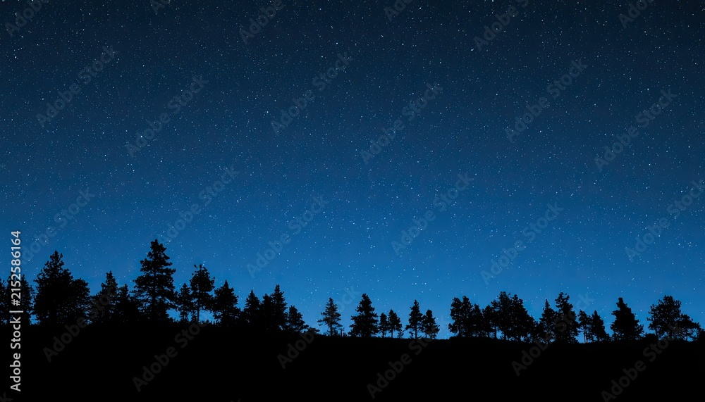 Fototapeta premium Silhouetted evergreen trees against a deep blue, star-filled night sky