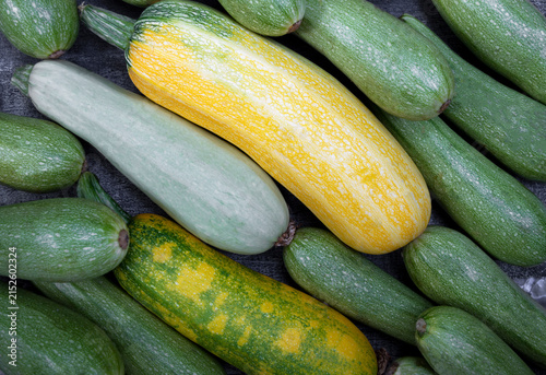 Colorful zucchini arranged on wood with a farm background, showing fresh organic produce for food, farming, and retail.