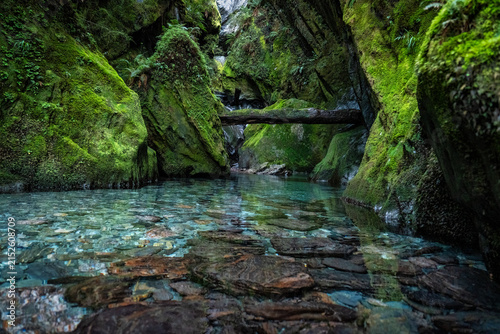 Hidden gems just  off the Haast Pass highway that most drive past without knowing they are there