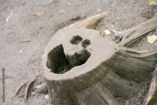Konstfotografi Tree Stump with Natural Smiley Face