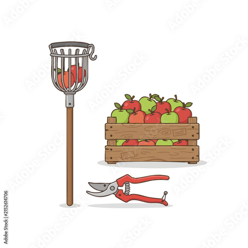 Apple picking tools for harvest season in orchard