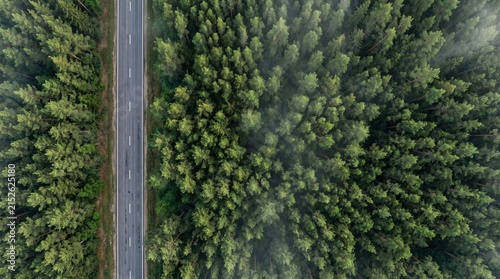 Aerial view of a straight asphalt road cutting through a dense green coniferous forest in summer with light morning mist