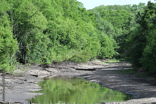 Disappearing Pond