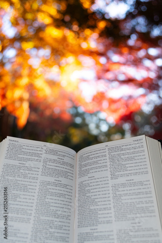 An open Holy Bible showing the Book of Psalms against a soft bokeh and bright autumn foliage background at Shirao Mountain Park, Fujinomiya, Japan. Vertical shot.