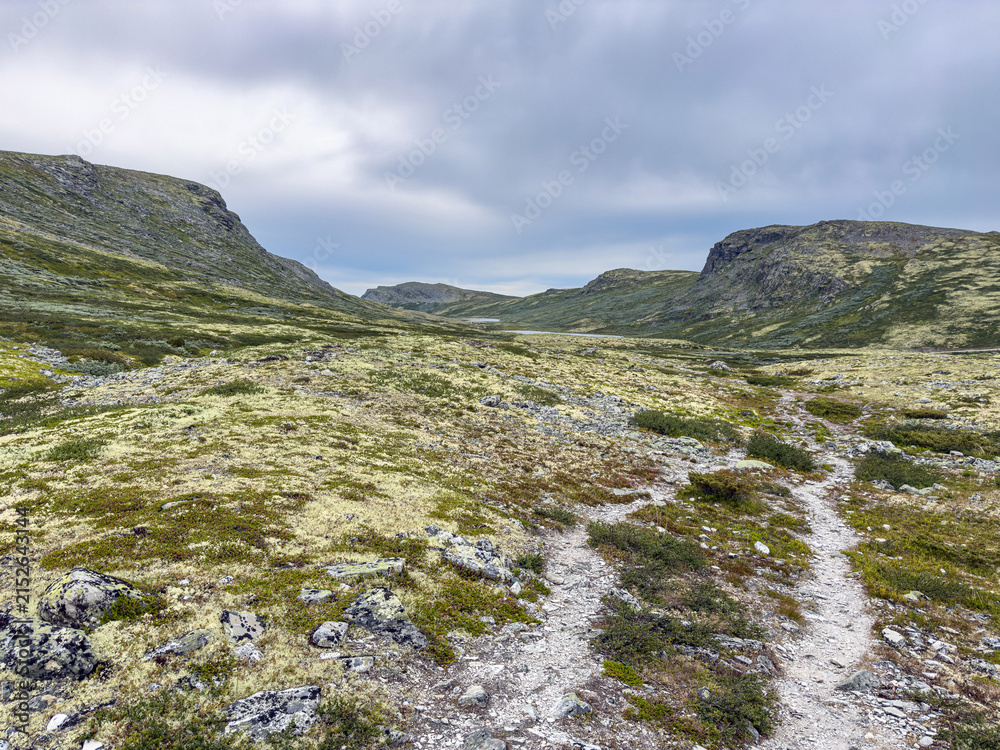 Fototapeta premium Trail through lichen heath towards a lake in Rondane, Norway