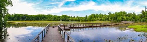 Принти на полотні Serene Wetland Boardwalk