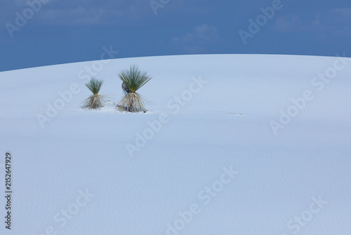 White Sands National Park, New Mexico 