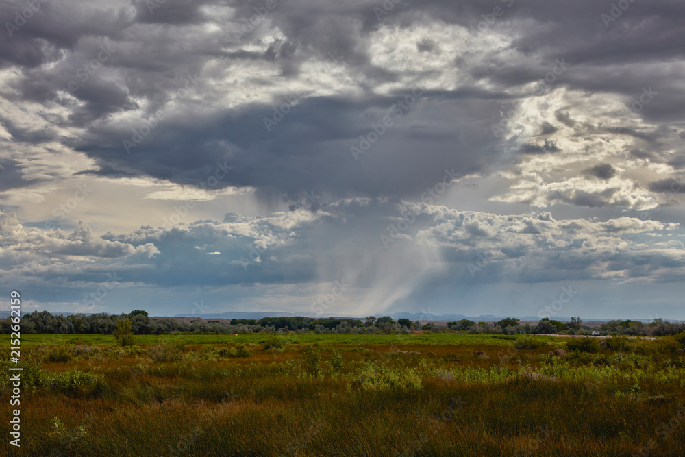 Fototapeta premium Open grassland stretching toward a distant tree line under dark clouds.
