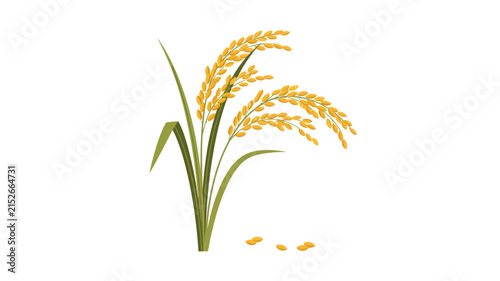 Golden Ripe Rice Stalk Vector Illustration