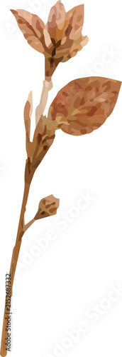 Dried autumn branch with orange leaves botanical illustration