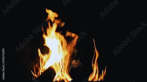 Campfire Burning with Wood Logs at Night, Dark Background