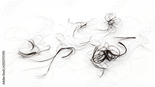 Minimalist stock photograph of long black hair that has fallen onto a pure white background