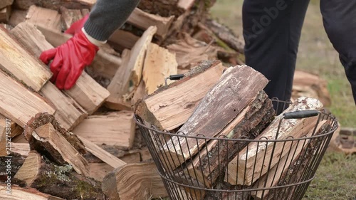 Man in red gloves stacking chopped firewood into a metal basket. Fuel preparation process for winter where a man fills a basket with wood, symbolizing diligence, order, and coziness