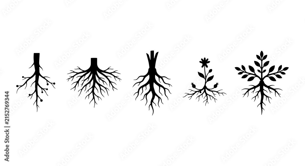 Obraz premium Black Silhouette Root Systems, Plant Growth, Botanical Elements, Organic Structure Icons