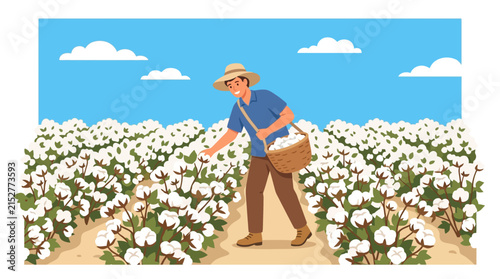 Happy agricultural worker harvesting organic raw cotton in a field under a blue sky flat vector illustration.