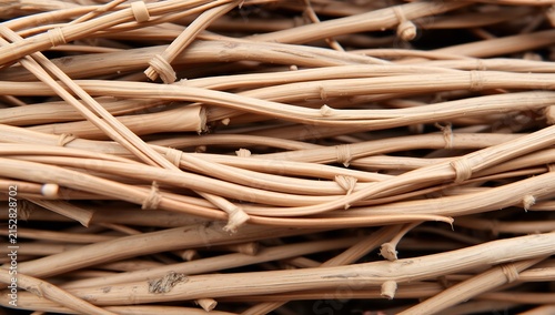 Close up macro shot of intertwined natural twigs