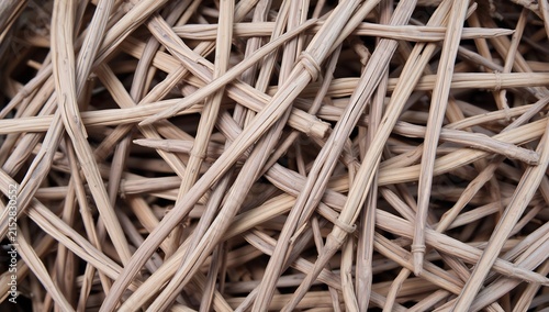 Close up macro shot of interwoven natural twigs