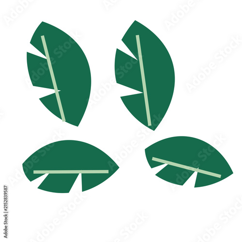 Tropical leaf silhouette botanical collection