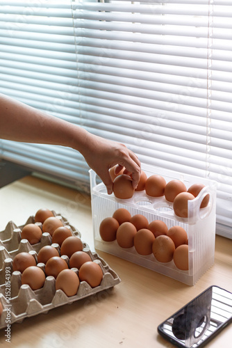 Hand Selecting Fresh Chicken Eggs from Egg Cartons