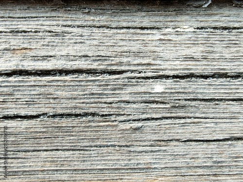 old wood background