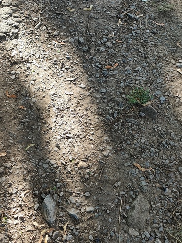 close up of the ground