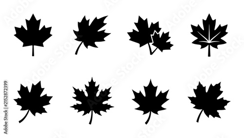 80 Maple Leaf Icons Set, Canadian Symbols Vector Graphics, Autumn Foliage Silhouettes for Seasonal Design and National Pride 100