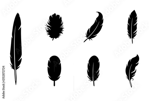 Bild auf Leinwand Elegant Feather Silhouettes, Diverse Ornithological Elements, Delicate Avian Sym